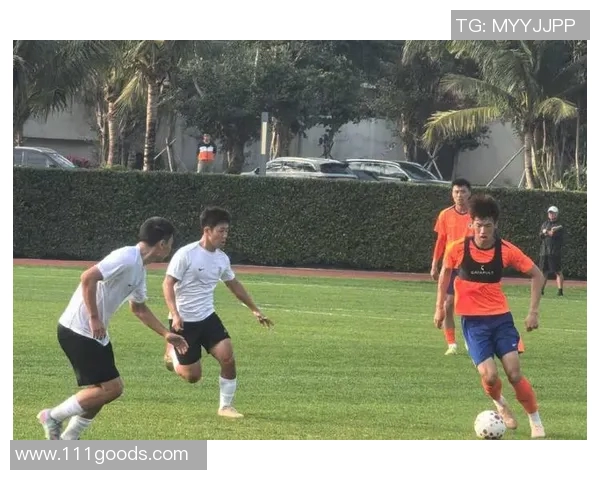 德甲球队冬训备战:突出体能训练,全面提升球员状态